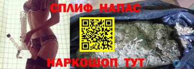 сатива Гагарин