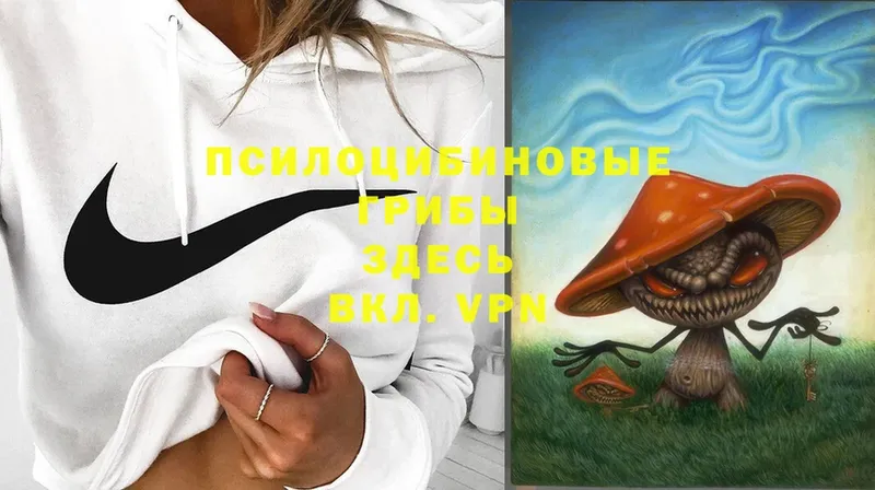 Псилоцибиновые грибы Magic Shrooms  OMG маркетплейс  Гуково 