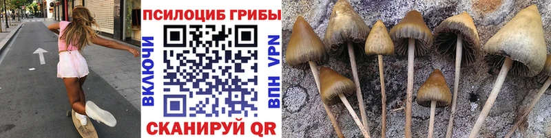 Псилоцибиновые грибы прущие грибы  Гуково 