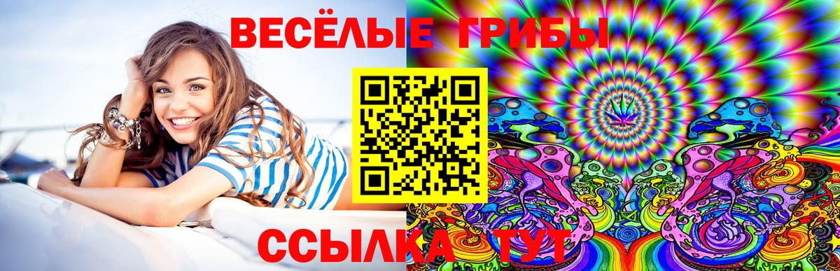 Гуково  Галлюциногенные грибы мухоморы  Вход с VPN 
