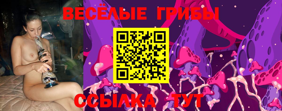 Галлюциногенные грибы Magic Shrooms Гуково